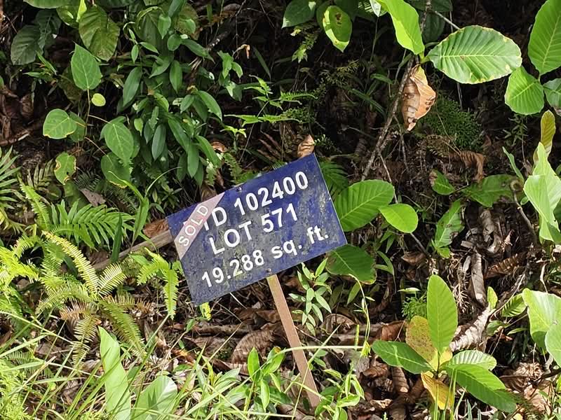 Tanah Kediaman untuk Dijual di Ledang Heights (Iskandar Puteri (Nusajaya)) - Cony Tan - PropertyGuru.com.my