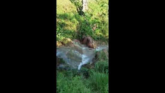 Agricultural Land for Sale in Bentong (Pahang) - Chong Ming Ming - PropertyGuru.com.my