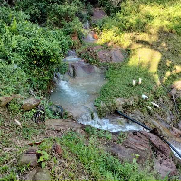 Agricultural Land for Sale in Bentong (Pahang) - Chong Ming Ming - Exterior - PropertyGuru.com.my