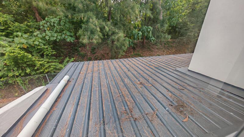 Brand New Roof at the Back