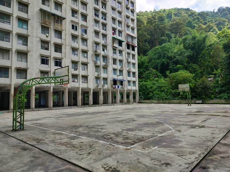 Basketball Court