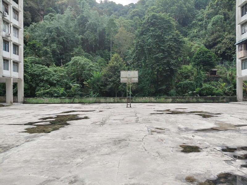 Basketball Court