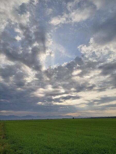 Agricultural Land for Sale in Langkap (Perak) - Amelyn Lee - Exterior - PropertyGuru.com.my