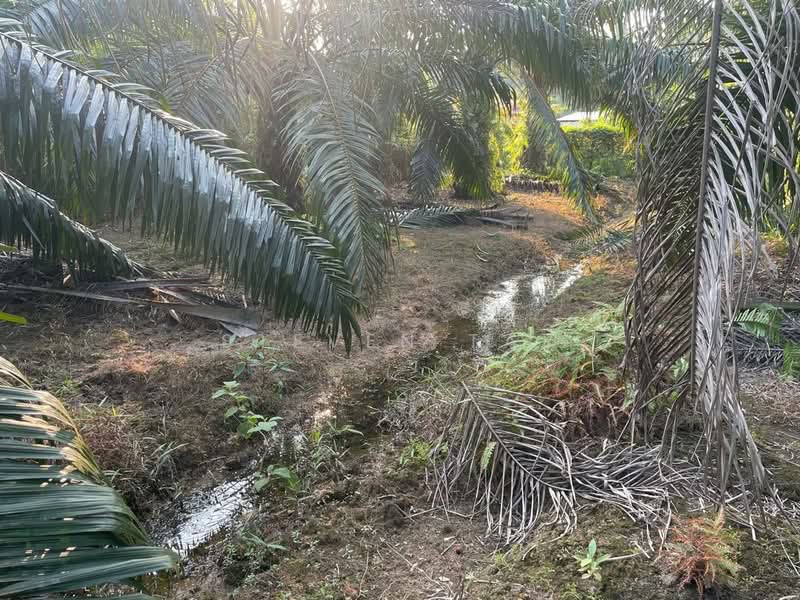 Agricultural Land for Sale in Kampung Jenderam Hulu (Dengkil) - Steven Tay - Exterior - PropertyGuru.com.my
