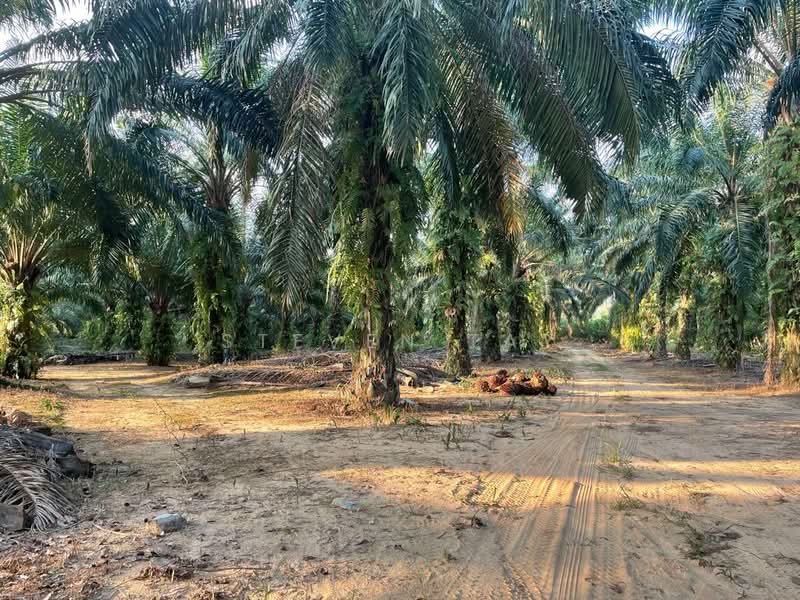 Agricultural Land for Sale in Kampung Jenderam Hulu (Dengkil) - Steven Tay - Exterior - PropertyGuru.com.my