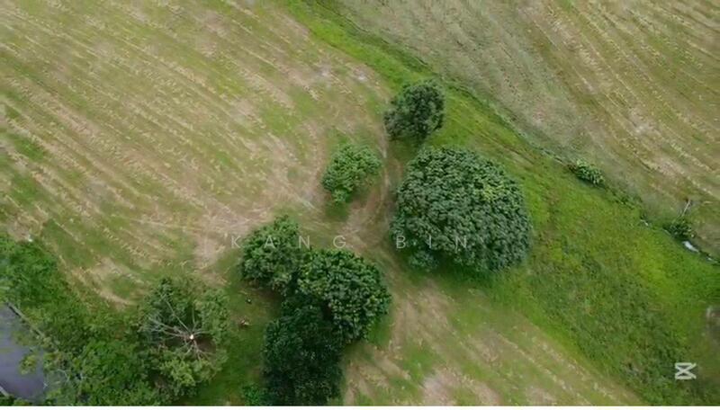 Residential Land for Sale in Leisure Farm (Gelang Patah) - Kang Bin - Exterior - PropertyGuru.com.my