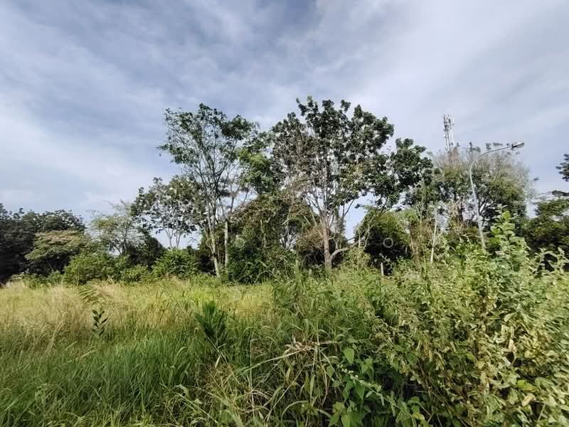 Residential Land for Sale in Taman Paya Rumput Indah (Paya Rumput) - Nicole Yeo - Exterior - PropertyGuru.com.my