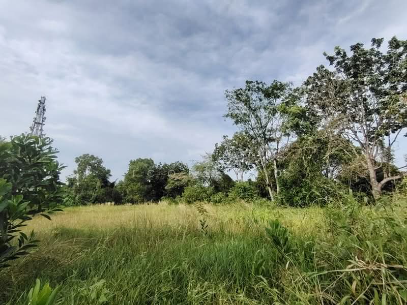 Residential Land for Sale in Taman Paya Rumput Indah (Paya Rumput) - Nicole Yeo - Exterior - PropertyGuru.com.my