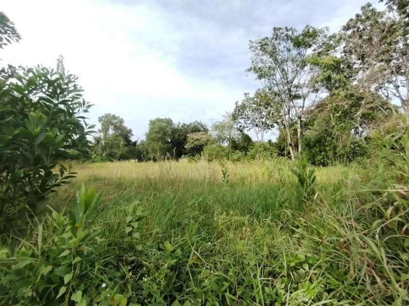 Residential Land for Sale in Taman Paya Rumput Indah (Paya Rumput) - Nicole Yeo - Exterior - PropertyGuru.com.my