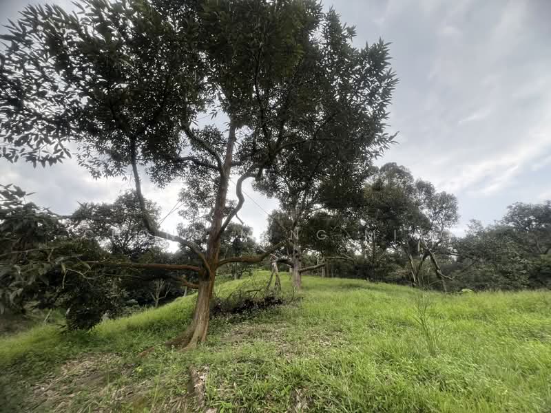 Agricultural Land for Sale in Bentong (Pahang) - Chong Ming Ming - Exterior - PropertyGuru.com.my