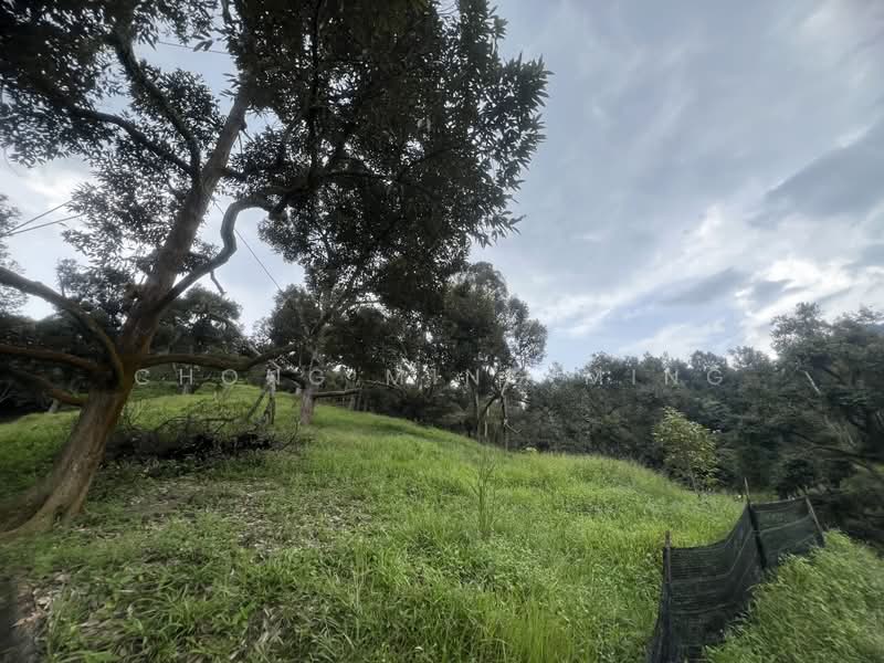 Agricultural Land for Sale in Bentong (Pahang) - Chong Ming Ming - Exterior - PropertyGuru.com.my