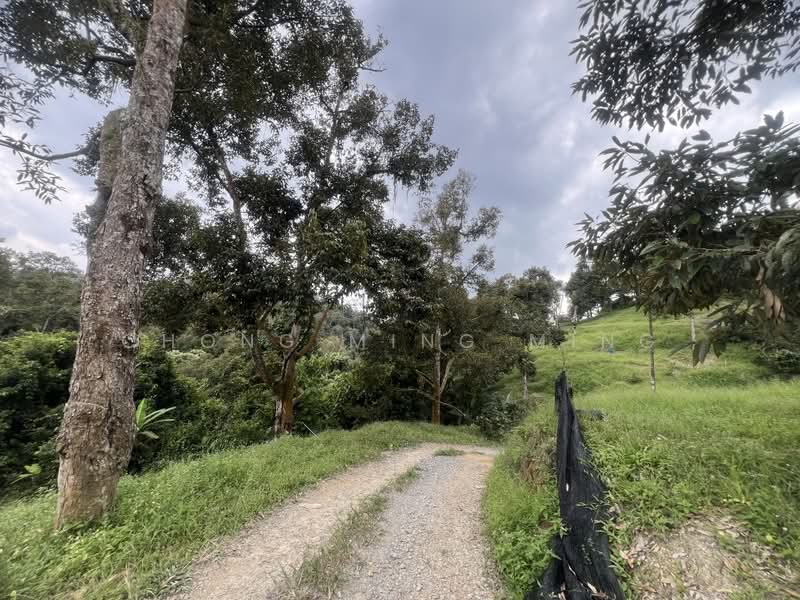 Agricultural Land for Sale in Bentong (Pahang) - Chong Ming Ming - Exterior - PropertyGuru.com.my