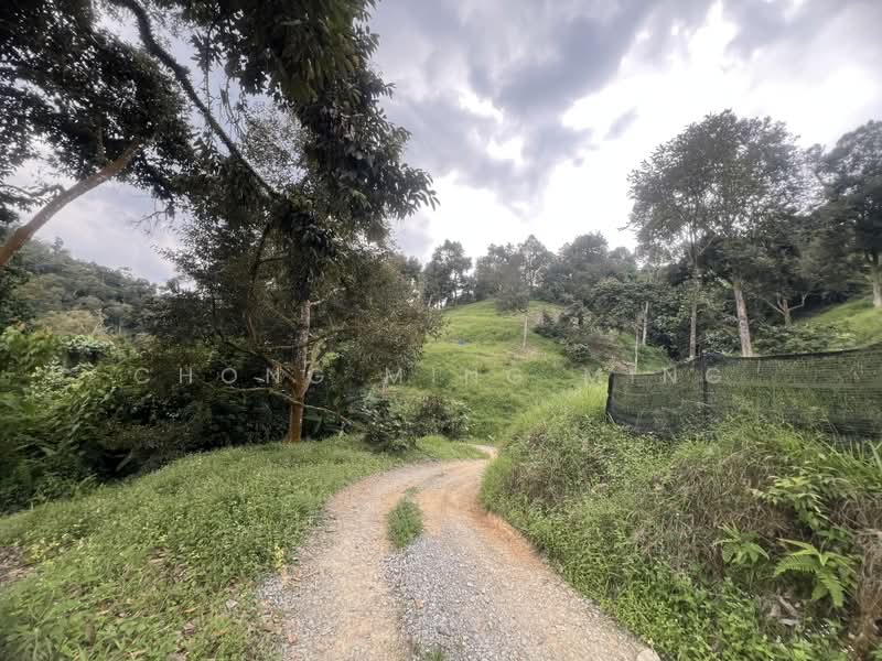 Agricultural Land for Sale in Bentong (Pahang) - Chong Ming Ming - Exterior - PropertyGuru.com.my