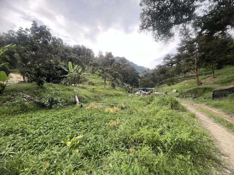Agricultural Land for Sale in Bentong (Pahang) - Chong Ming Ming - Exterior - PropertyGuru.com.my
