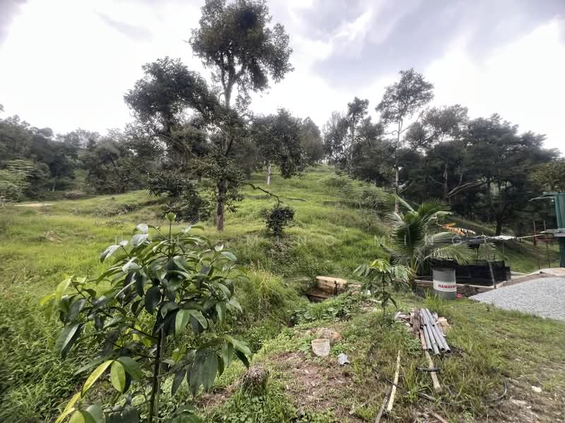 Agricultural Land for Sale in Bentong (Pahang) - Chong Ming Ming - Exterior - PropertyGuru.com.my