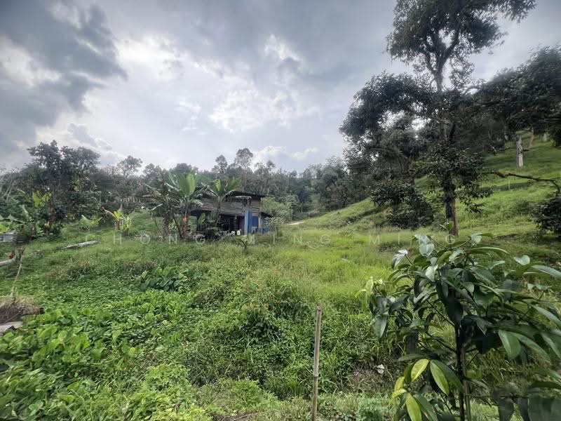 Agricultural Land for Sale in Bentong (Pahang) - Chong Ming Ming - Exterior - PropertyGuru.com.my