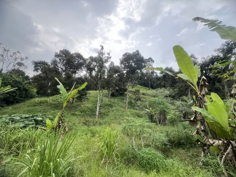 Agricultural Land for Sale in Bentong (Pahang) - Chong Ming Ming - Exterior - PropertyGuru.com.my