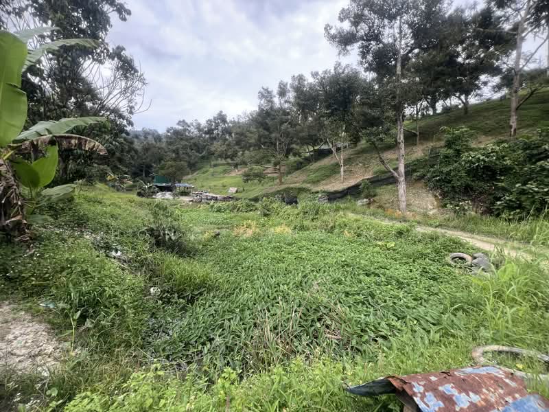 Agricultural Land for Sale in Bentong (Pahang) - Chong Ming Ming - Exterior - PropertyGuru.com.my