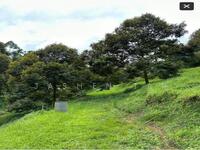 For Sale - Bandar Tras