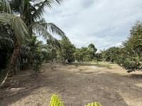 For Sale - Pontian Besar