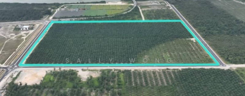 For Sale - Olak Lempit, Banting Residential Zoning Land Selangor