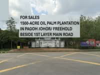 For Sale - Johor Pagoh Oil Palm Plantation With 1500 Acres For Sales