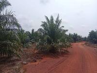 For Sale - Mersing palm oil land