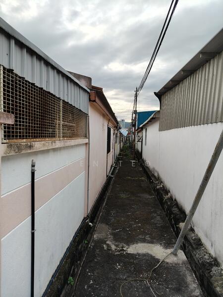 Back Lane 
