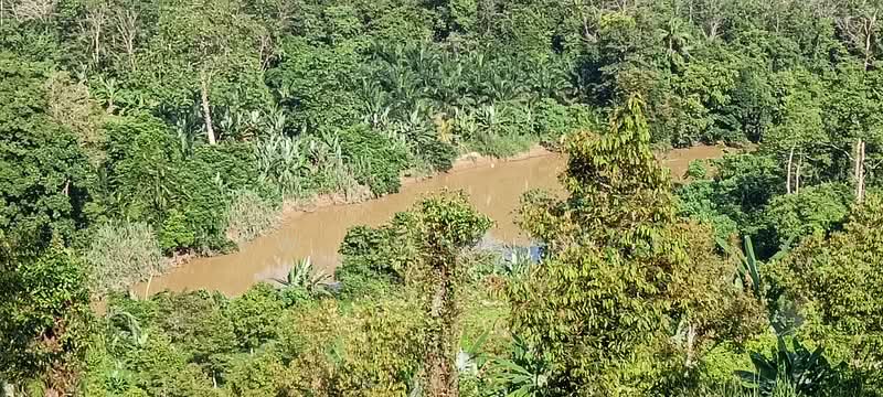 Agricultural Land for Sale in Karak (Pahang) - Yew Long Woi - Exterior - PropertyGuru.com.my