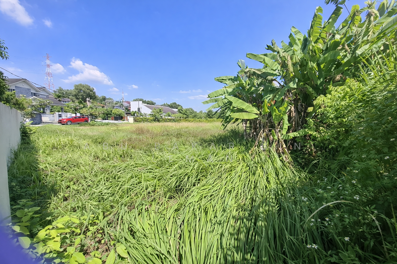 Pandangan dari belakang