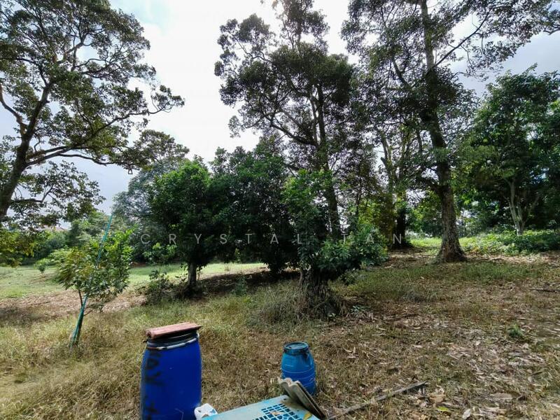 Tanah Komersial untuk Dijual di Kangkar Pulai (Skudai) - Crystal Tan - Garden - PropertyGuru.com.my