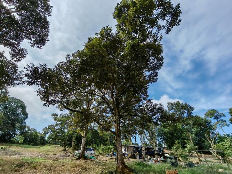Tanah Komersial untuk Dijual di Kangkar Pulai (Skudai) - Crystal Tan - Exterior - PropertyGuru.com.my