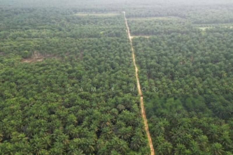 Agricultural Land for Sale in Bestari Jaya (Selangor) - Camie Hoo - Exterior - PropertyGuru.com.my