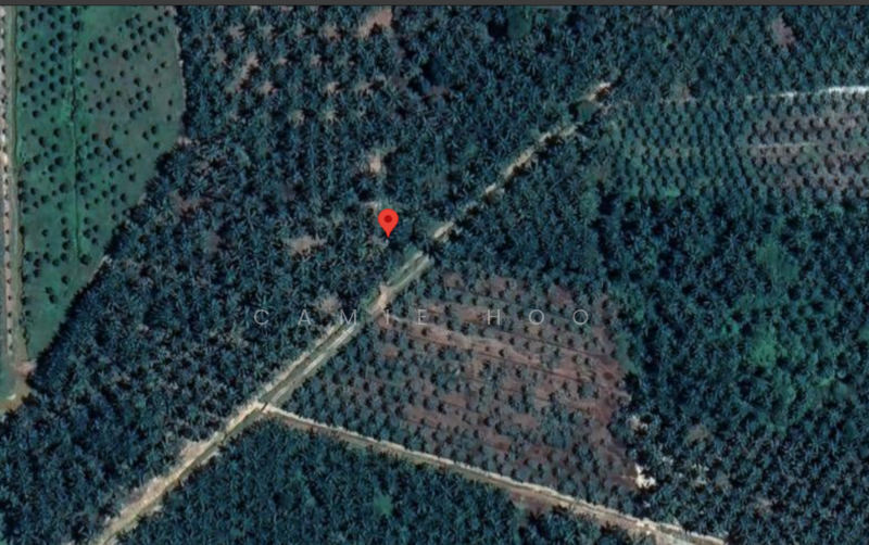 Agricultural Land for Sale in Bestari Jaya (Selangor) - Camie Hoo - PropertyGuru.com.my