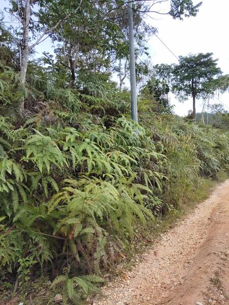 Bentong Hills Orchards, Sanglee untuk Untuk Dijual - RM 200,000, Mac 2026 - Exterior - PropertyGuru.com.my