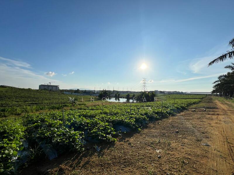 Agricultural Land for Sale in Kampung Seelong Jaya (Senai) - Ming Yeap - Exterior - PropertyGuru.com.my