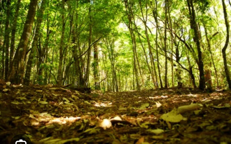 Pekan Nanas , Johor untuk Untuk Dijual - RM 4,068,155, Apr 2026 - Exterior - PropertyGuru.com.my