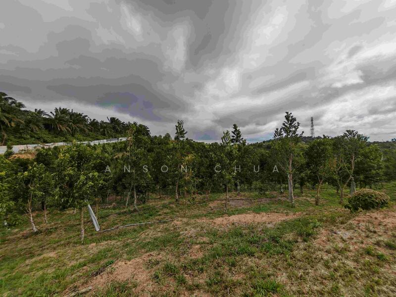 Agricultural Land for Sale in Kampung Melayu Seelong Selatan (Senai) - Anson Chua - Exterior - PropertyGuru.com.my