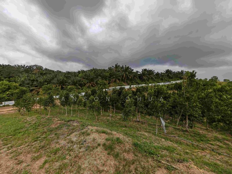 Agricultural Land for Sale in Kampung Melayu Seelong Selatan (Senai) - Anson Chua - Exterior - PropertyGuru.com.my
