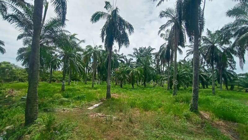 Industrial Land for Rent in Bukit Minyak (Penang) - Au Wei Hong - Garden - PropertyGuru.com.my