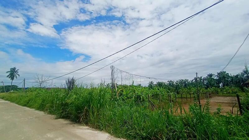 Industrial Land for Rent in Bukit Minyak (Penang) - Au Wei Hong - Exterior - PropertyGuru.com.my