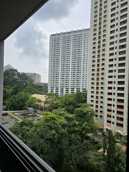 View from Living Room