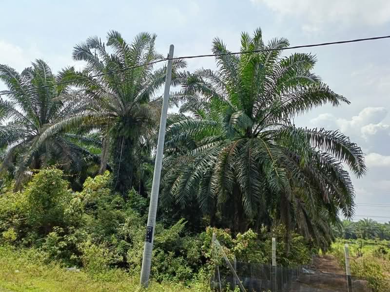 For Sale - Ipoh Country Park Agriculture Land