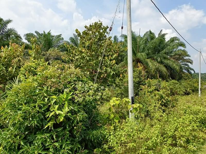 For Sale - Ipoh Country Park Agriculture Land