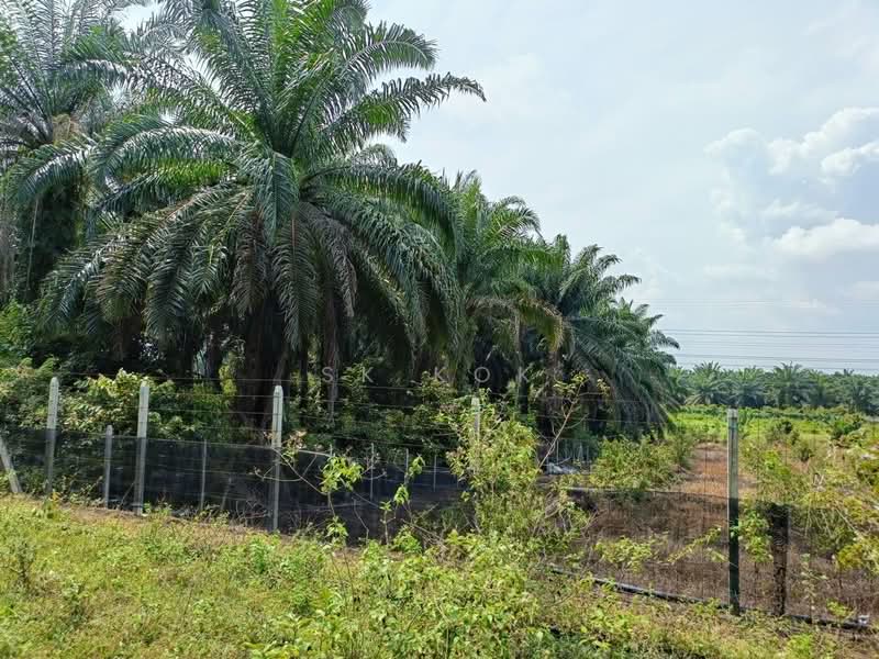 For Sale - Ipoh Country Park Agriculture Land