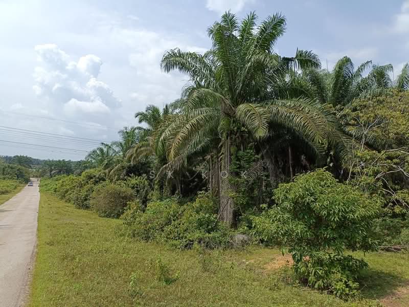 For Sale - Ipoh Country Park Agriculture Land