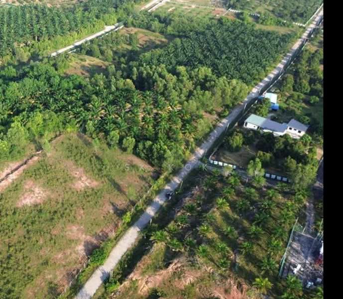 Tanah Pertanian untuk Dijual di Gopeng (Perak) - SK Kok - Exterior - PropertyGuru.com.my
