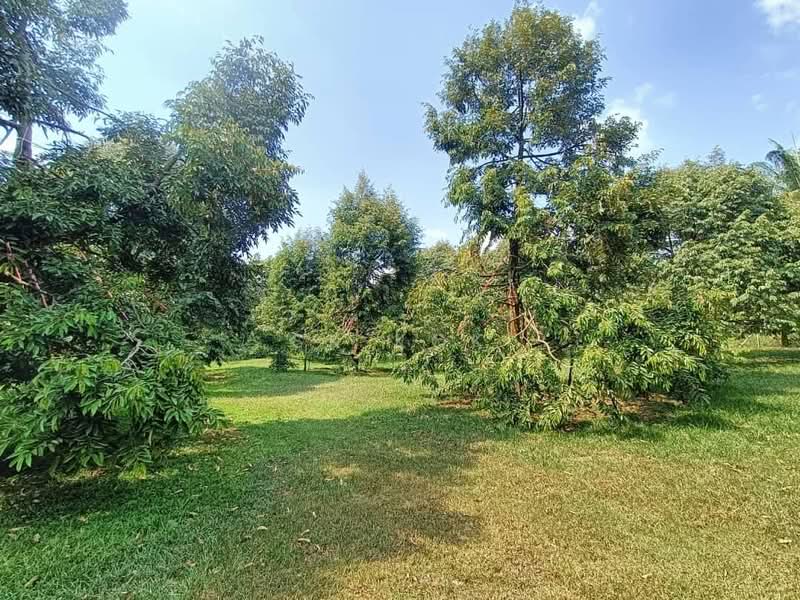 Tanah Pertanian untuk Dijual di Gopeng (Perak) - SK Kok - Garden - PropertyGuru.com.my