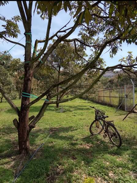 Tanah Pertanian untuk Dijual di Gopeng (Perak) - SK Kok - Exterior - PropertyGuru.com.my