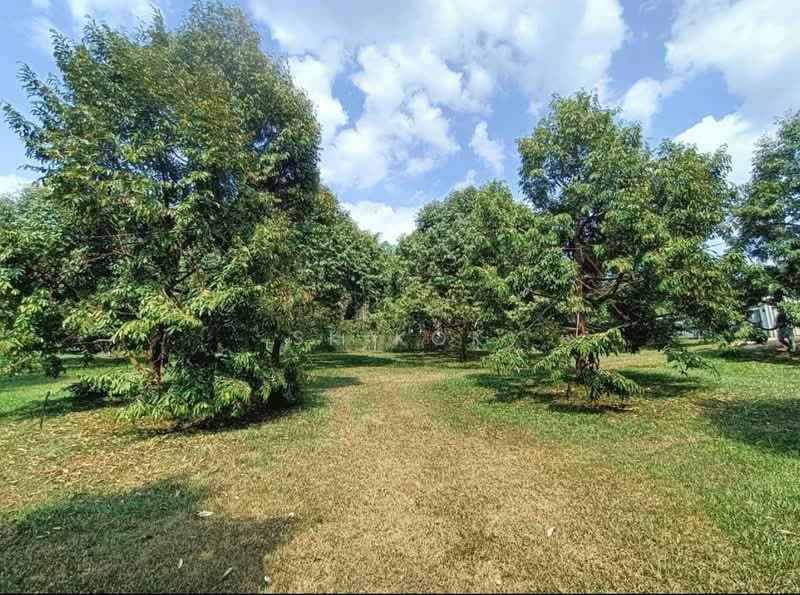 Tanah Pertanian untuk Dijual di Gopeng (Perak) - SK Kok - Garden - PropertyGuru.com.my